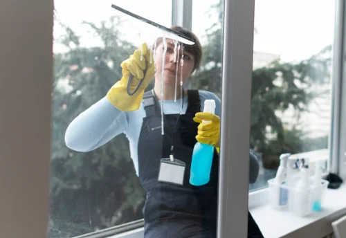 Nettoyage de vitres intérieures et extérieures à la Tessoualle